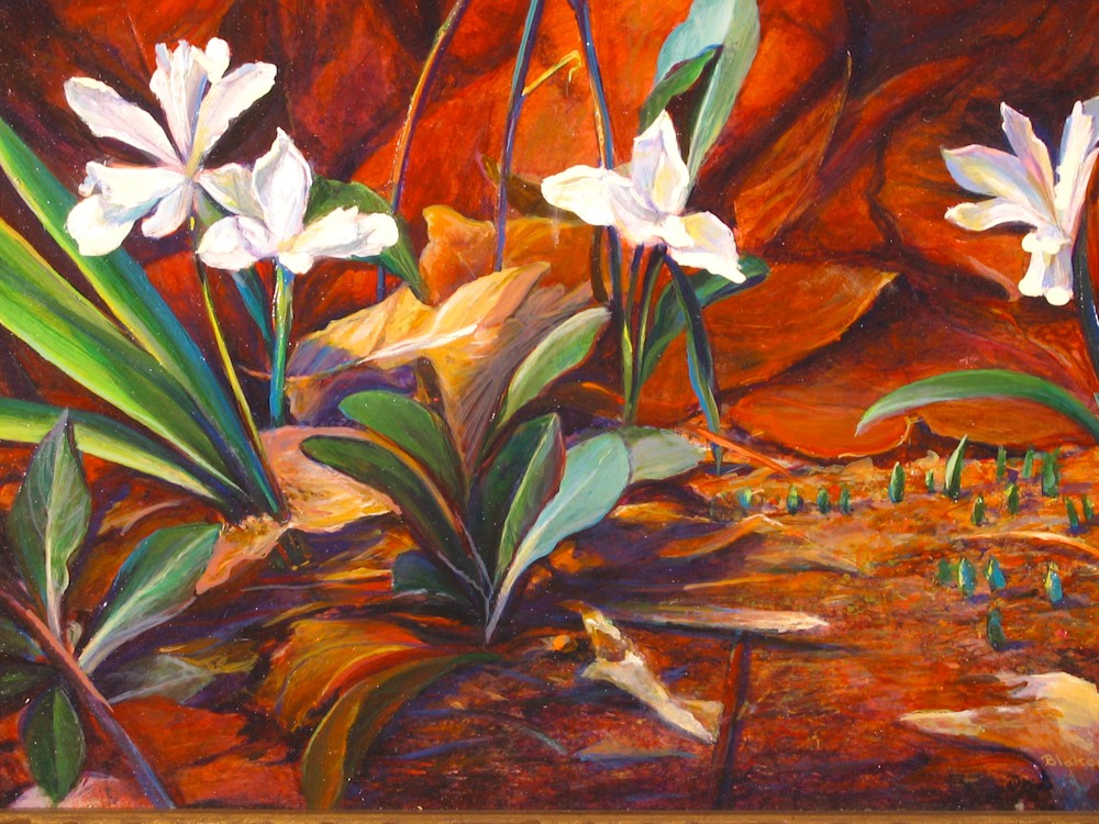 Wild Irises