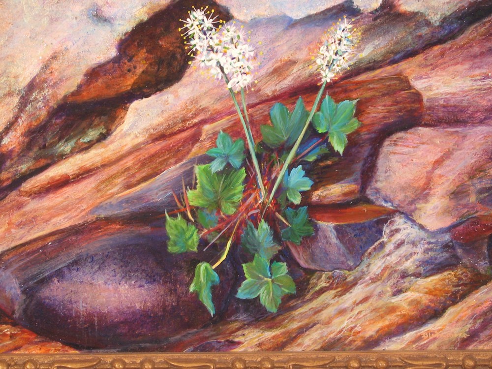 Wild Flowers In Spring series preview, A Wild Foam Flower