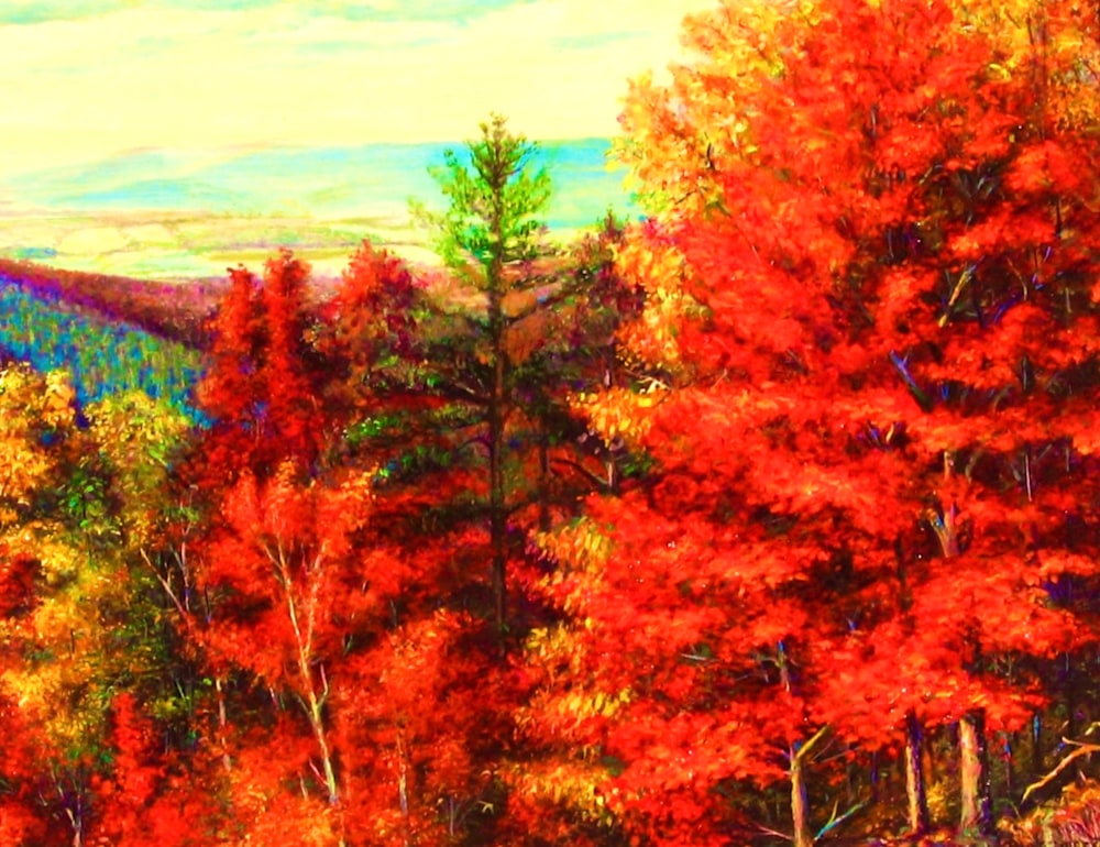 Autumn In Blue Ridge, Ga.