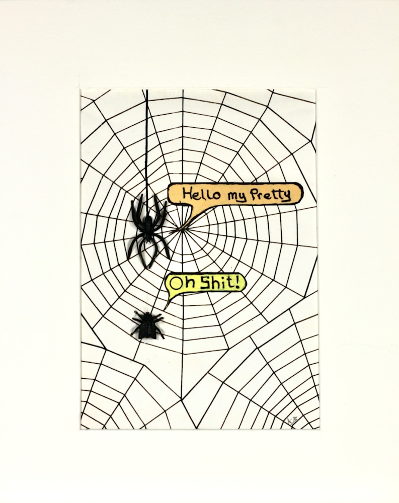 Said the Spider to the Fly